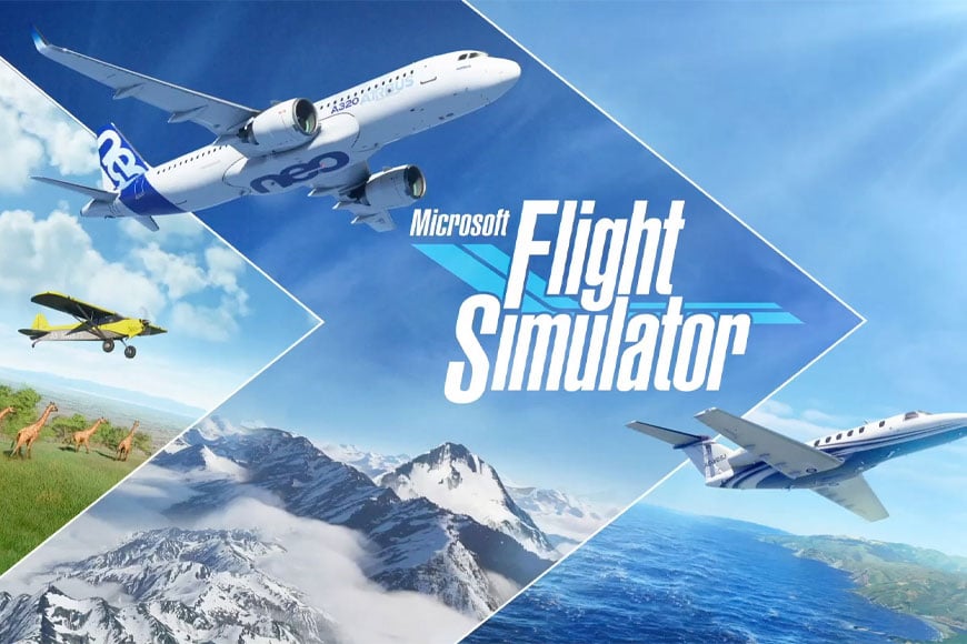 Microsoft Flight Simulator