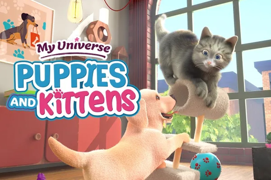 My Universe: Puppies & Kittens